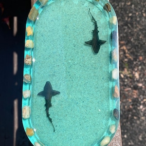 Shark Week *tray*