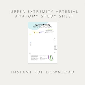 Studieblad arteriële anatomie bovenste extremiteit | Vasculaire echografie, verpleging, anatomie en fysiologie
