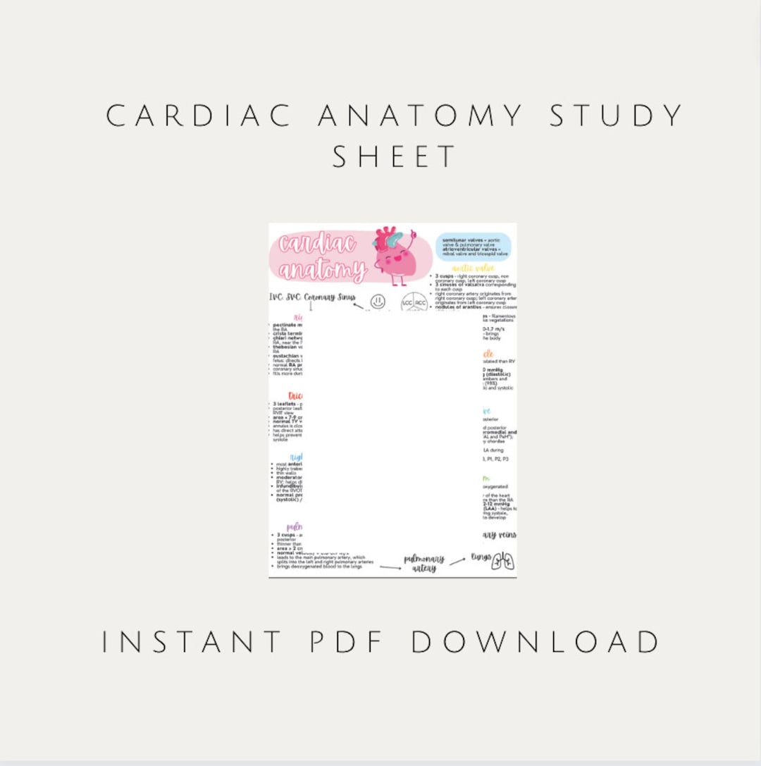 Cardiac Anatomy Study Sheet Nursing Cardiology Etsy