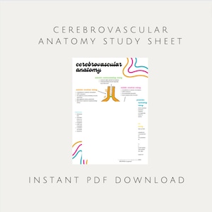 Cerebrovascular Anatomy Study Sheet | Vascular Sonography, Echocardiography, Neurology, Nursing