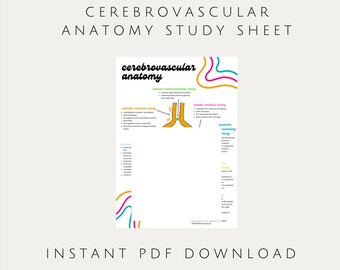 Cerebrovascular Anatomy Study Sheet | Vascular Sonography, Echocardiography, Neurology, Nursing