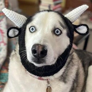 May include: A white and gray husky dog wearing a white and black cow costume. The dog is sitting on a plaid blanket.