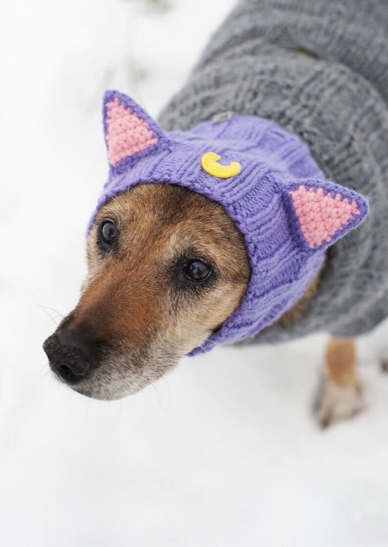 Knitted hat snood for dogs Cat Luna cats/ Dog Hood Custom Sizes image 1