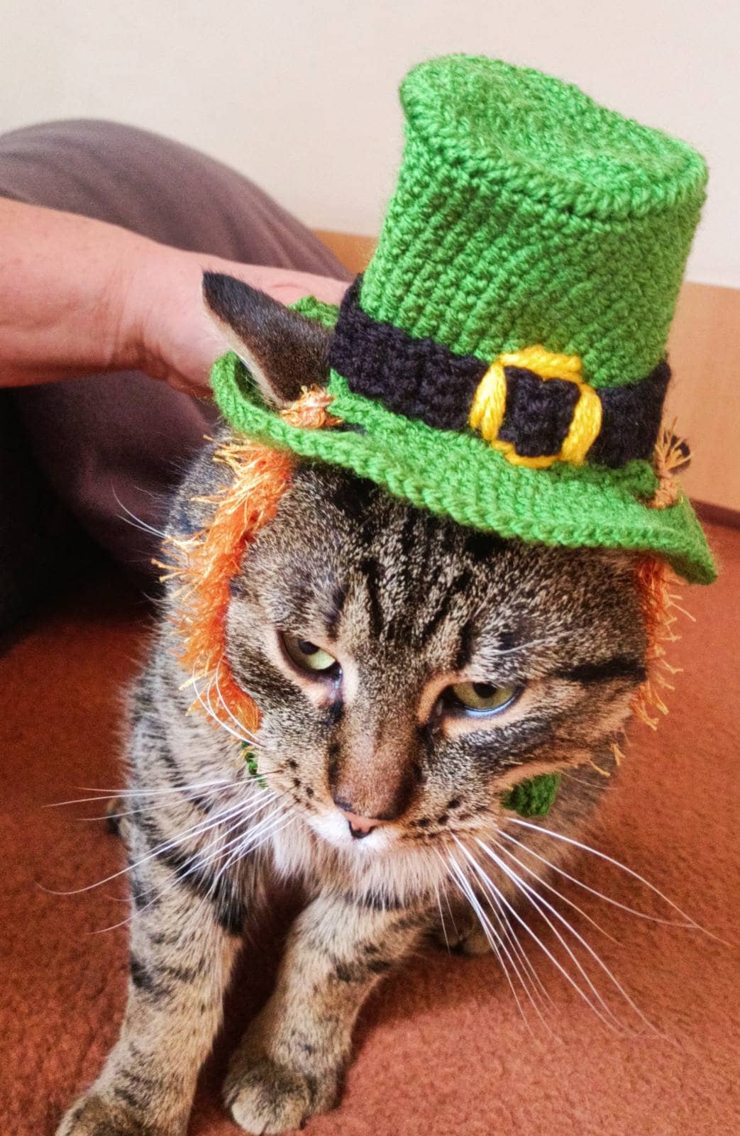 St. Patrick's Day Hat for Cat, Kitten or Small Dogs Shamrock Hat Perfect for Photo op snood Top hat and bow tie for cats "Leprechaun" gnome