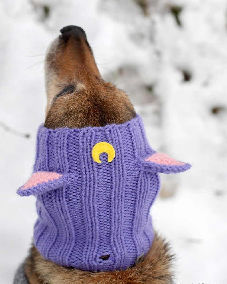 Knitted hat snood for dogs Cat Luna cats/ Dog Hood Custom Sizes image 3