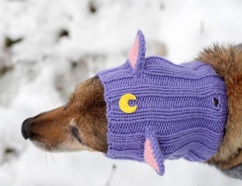 Knitted hat snood for dogs Cat Luna cats/ Dog Hood Custom Sizes image 5