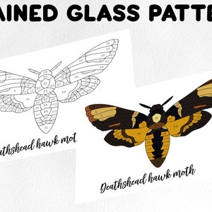 May include: A black and white line art image of a death's-head hawk moth with numbered sections. The image is labeled "Deathshead hawk moth". Below the image is a colored version of the moth with the same numbered sections. The colored version is labeled "Deathshead hawk moth" and has a copyright symbol.