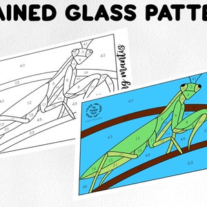 May include: A stained glass pattern of a praying mantis on a branch. The pattern is numbered for a paint-by-number project. The image is labeled "Praying mantis" and "Stained Glass Pattern".