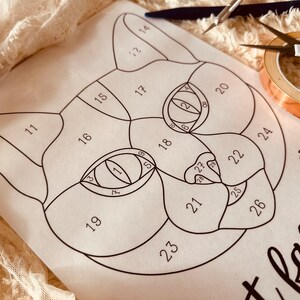 May include: A black and white line drawing of a cat's face divided into 28 numbered sections. The drawing is on a white sheet of paper. The text "face" is written below the drawing.