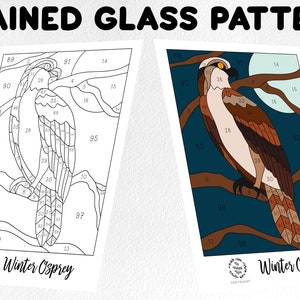 Stained glass pattern, stained glass osprey pattern, Digital download, sun catcher pattern, stained glass artist HOBBY LICENSE