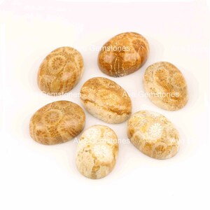 Natural Fossil Coral, Oval Cabochon, Calibrated Smooth, Loose Gemstone, For Jewelry Making, Unheated, Agatized Coral, All Sizes Available