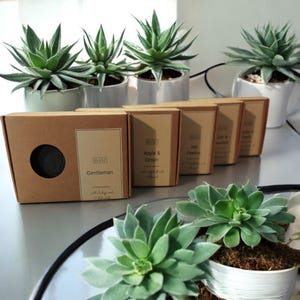 Natural handmade soap set spa gift box set, eco friendly organic zero waste box, gift, special edition limited 5 soaps