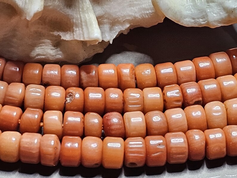 Op de afbeelding: Close-up van een koraal kralenketting. De kralen hebben een warme oranje kleur, een cilindrische vorm en een licht gepolijst oppervlak. De ketting is aaneengeregen en de kralen zitten dicht op elkaar. De achtergrond heeft een witte, getextureerde koraal.