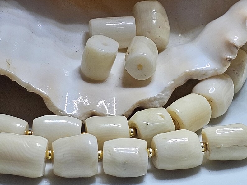 May include: Cream-colored coral beads with gold-colored accents. The beads are cylindrical and have a natural, textured appearance. Some beads are loose, while others are strung together, suggesting jewelry making.