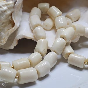 May include: Cream-colored coral bead necklace with gold-colored accents. The beads are barrel-shaped and strung together. The necklace is displayed on a white seashell.