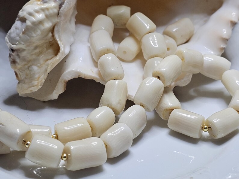May include: Cream-colored coral bead necklace with gold-colored accents. The beads are barrel-shaped and strung together. The necklace is displayed on a white seashell.