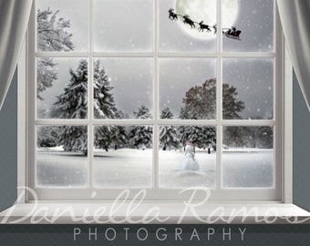 Winter Window Scene