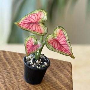 Miniatur Caladium Pink  Skulptur #12 aus Polymer Clay