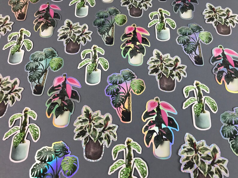 Sticker Set Monstera Deliciosa Philodendron Pink Princess Etsy