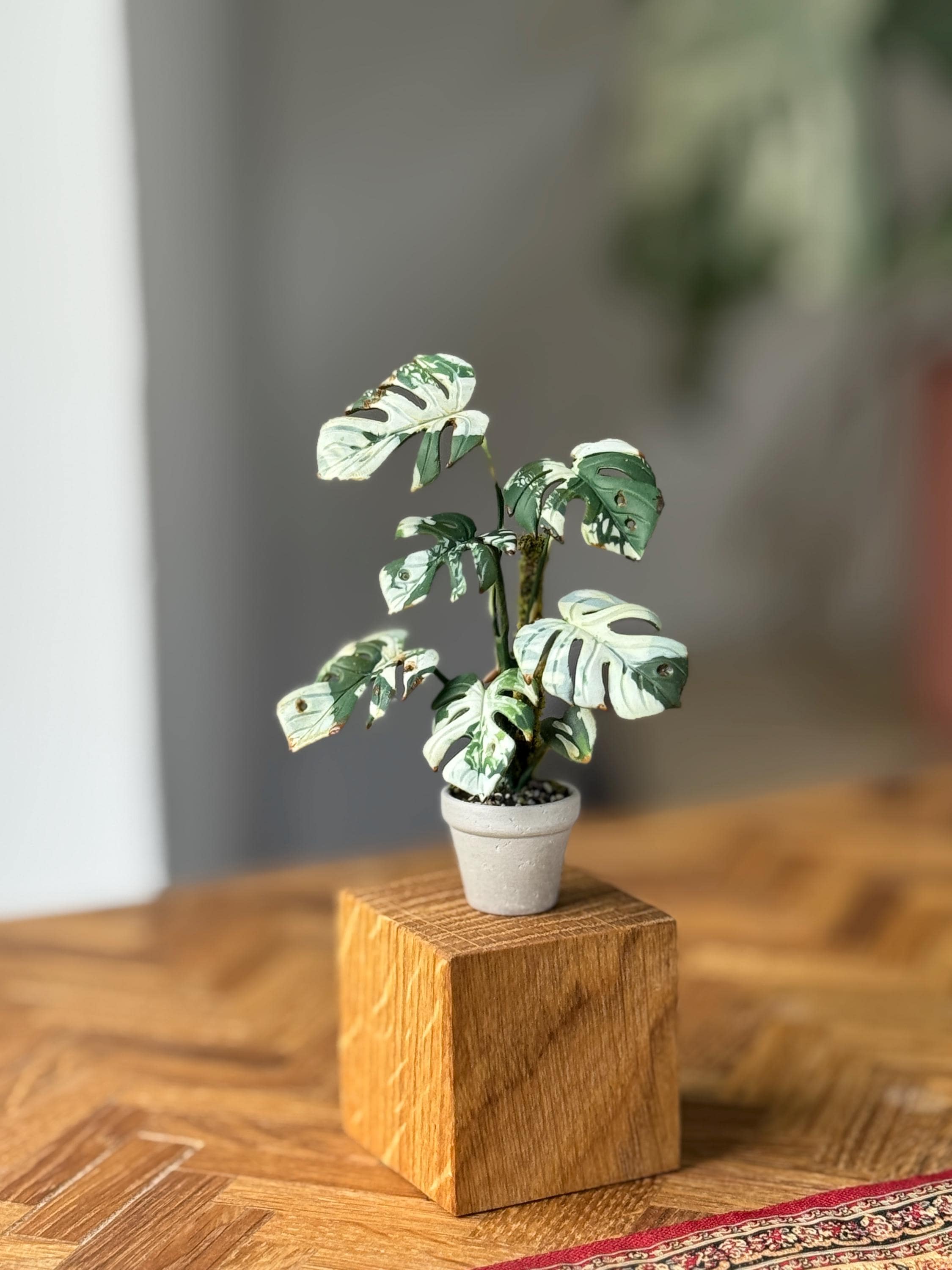 Miniature Monstera Variegata Sculpture Made of Polymer Clay on Oak