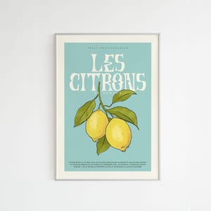 Póster de limones de Menton: ilustración en papel reciclado tamaño A4 de la Riviera Francesa.