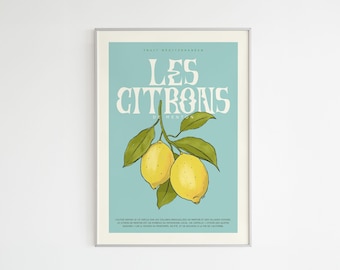 Menton Lemons poster - A4 size, printed on recycled paper, illustration of the French Riviera