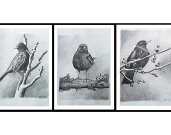 Black and white triptych, pencil and charcoal on paper, black and white