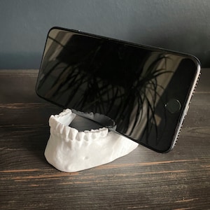 Jaw Phone/Small Tablet/Business Card Holder, Desk organization, Skeleton Phone Stand, Human Jaw Card Holder