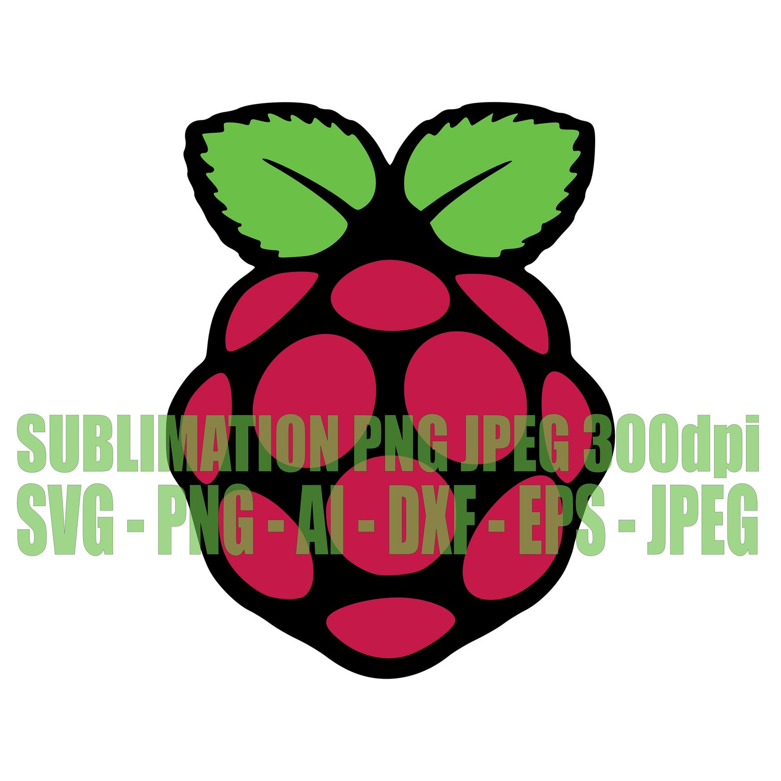 Raspberry Pi 4 Logo SVG jpeg png eps dxf Sublimation Design Etsy