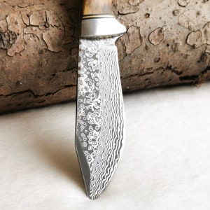 Damascus knife hunting knife with engraving Gift for him Knife set with root wood handles Elaborate mosaic pins For hunters & nature lovers image 6