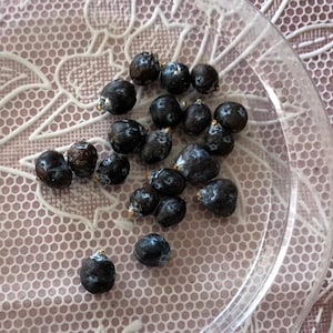 May include: A selection of dark blue berries with white markings, presented on a clear, circular plate. The berries have a glossy sheen and are arranged randomly. The background is a pale pink, patterned surface.