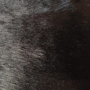 Black- Luxury Faux Fur Fabric 25mm pile 60&quot; (150cms) Wide - Multiple Lengths - AC435