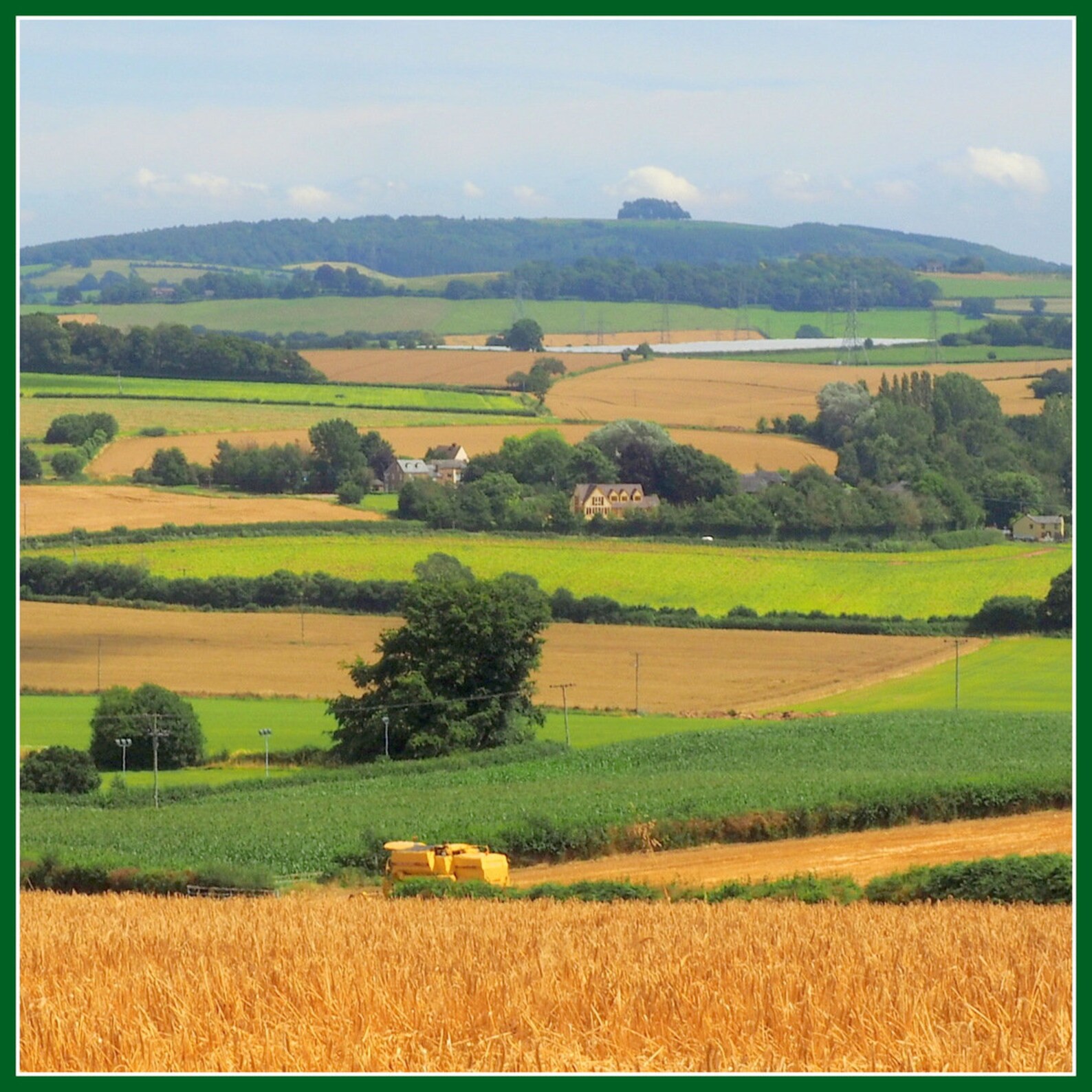 Greeting Cards Blank Cards Flower Photography Landscape | Etsy