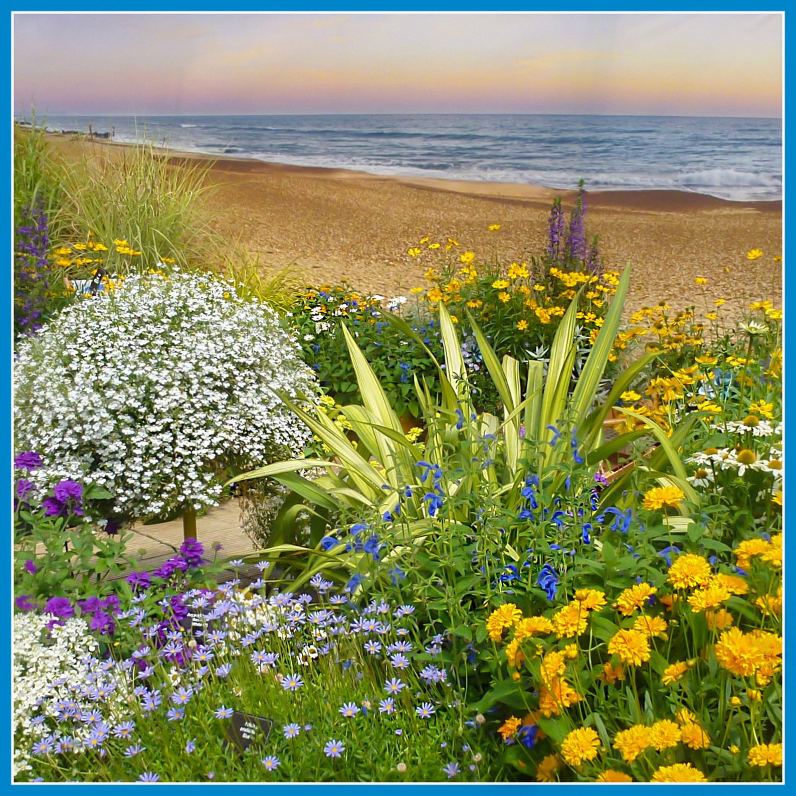 Greeting Cards Blank Cards Flower Photography Landscape Etsy UK