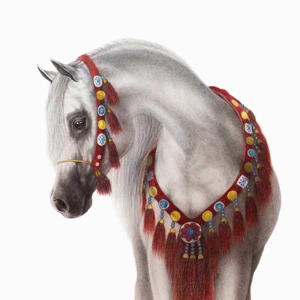 Art Print of Arabian Horse -  Original Watercolour Coloured Pencils Drawing on Fine Art Paper, Horse Art and Drawing