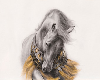 Arabian Horse Art Print – Original Watercolour and Graphite Drawing