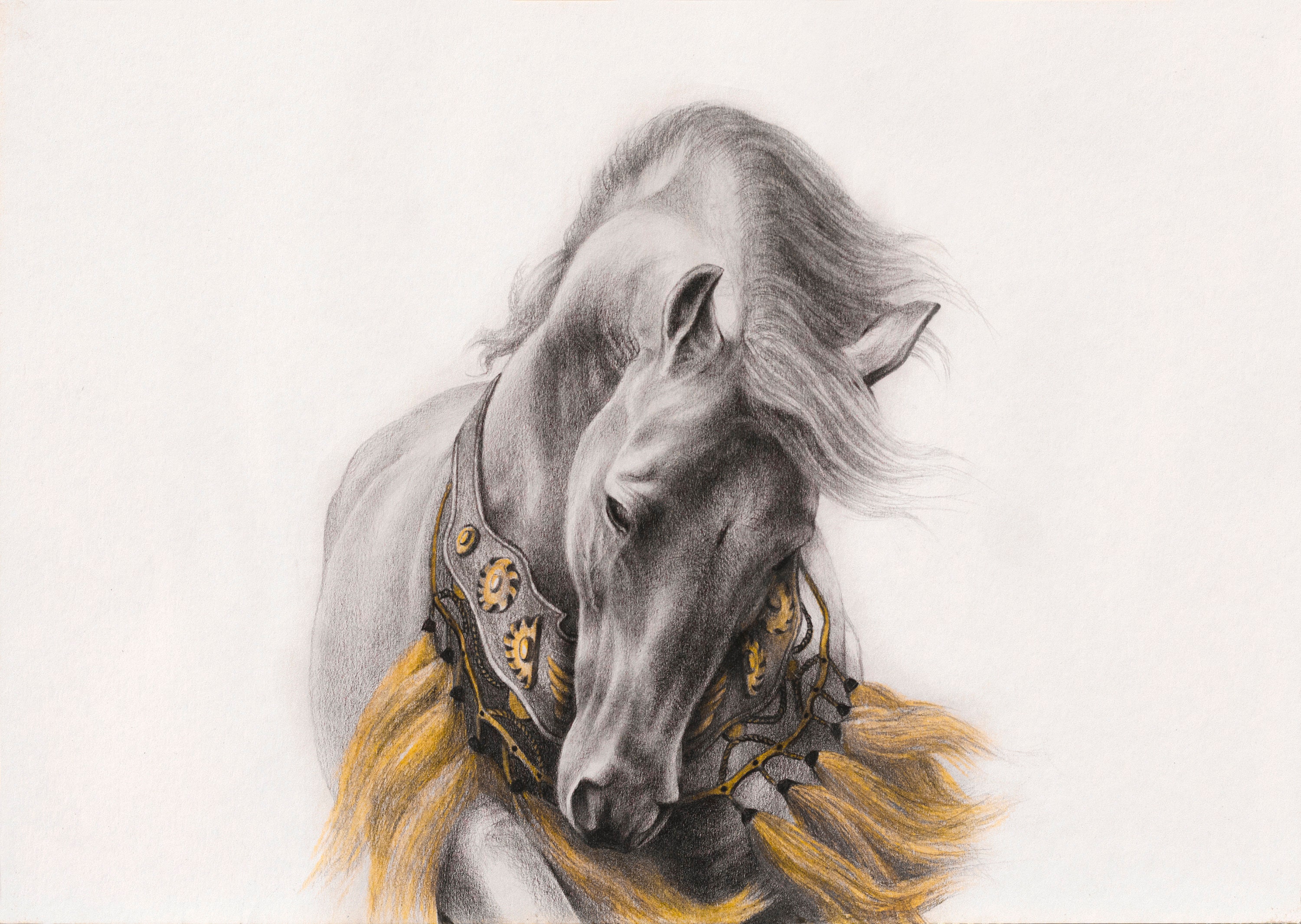 Arabian Horse Art Print – Original Watercolour and Graphite Drawing - Etsy, image size:3000x2131
