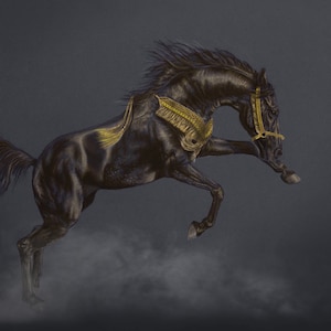 Impressão artística de cavalo árabe - desenho a lápis pastel original em papelão colorido, arte e desenho de cavalo
