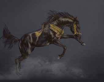 Arabian Horse Art Print – Pastel Pencil Drawing, 'Rhapsody in Black'