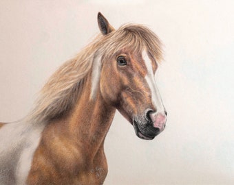 Art Print of 'KEMET', HORSE PORTRAIT - Original Polychromos Coloured Pencils Drawing on Grainy Paper, Horse Art and Drawing