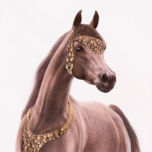 Art Print of Arabian Horse -  Original Watercolour Coloured Pencils Drawing on Fine Art Paper, Horse Art and Drawing