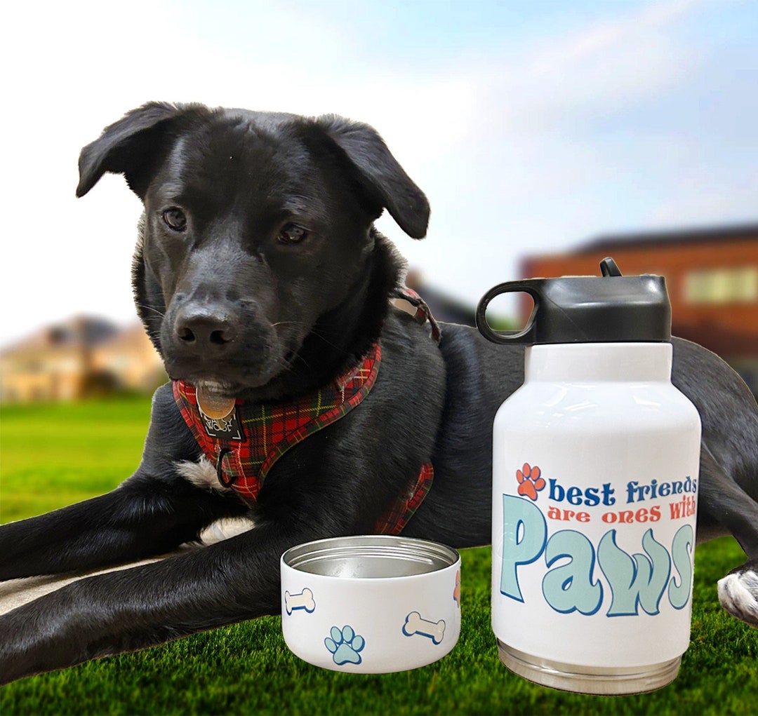 Trendy Dog Bowl Water Bottle Stainless Steel 32 Oz. Tumbler Etsy