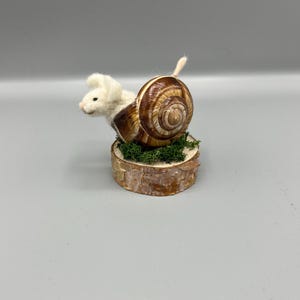 Könnte beinhalten: Eine skurrile Filzskulptur eines weißen Kaninchens in einem Schneckenhaus. Das Gehäuse ist braun und beige und ruht auf einer kleinen Holzscheibe mit grünem Moos. Das Kaninchen hat eine kleine rosa Nase und einen flauschigen Schwanz.