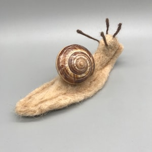 Könnte beinhalten: Eine braune und beige Filzschnecke mit einer braunen und weißen Schneckenhaus. Die Schnecke sitzt auf einem grauen Hintergrund.