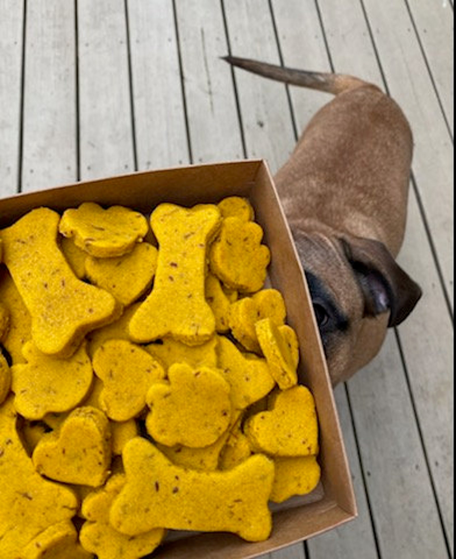 Organic Vegan Dog Treats Etsy