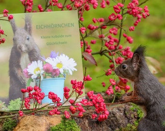 Eichhörnchen - Kleine Kobolde zum Glücklichsein, ein toller Foto-Geschenkband, für alle die Tiere lieben
