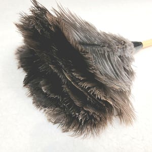 May include: A brown feather duster with a wooden handle. The feathers are arranged in a circular shape and are soft and fluffy.