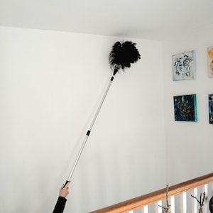 May include: A black feather duster with an extendable silver handle is used to dust a white wall. The duster is held at an angle, reaching towards the ceiling. The scene includes a staircase with a wooden handrail and artwork on the wall.