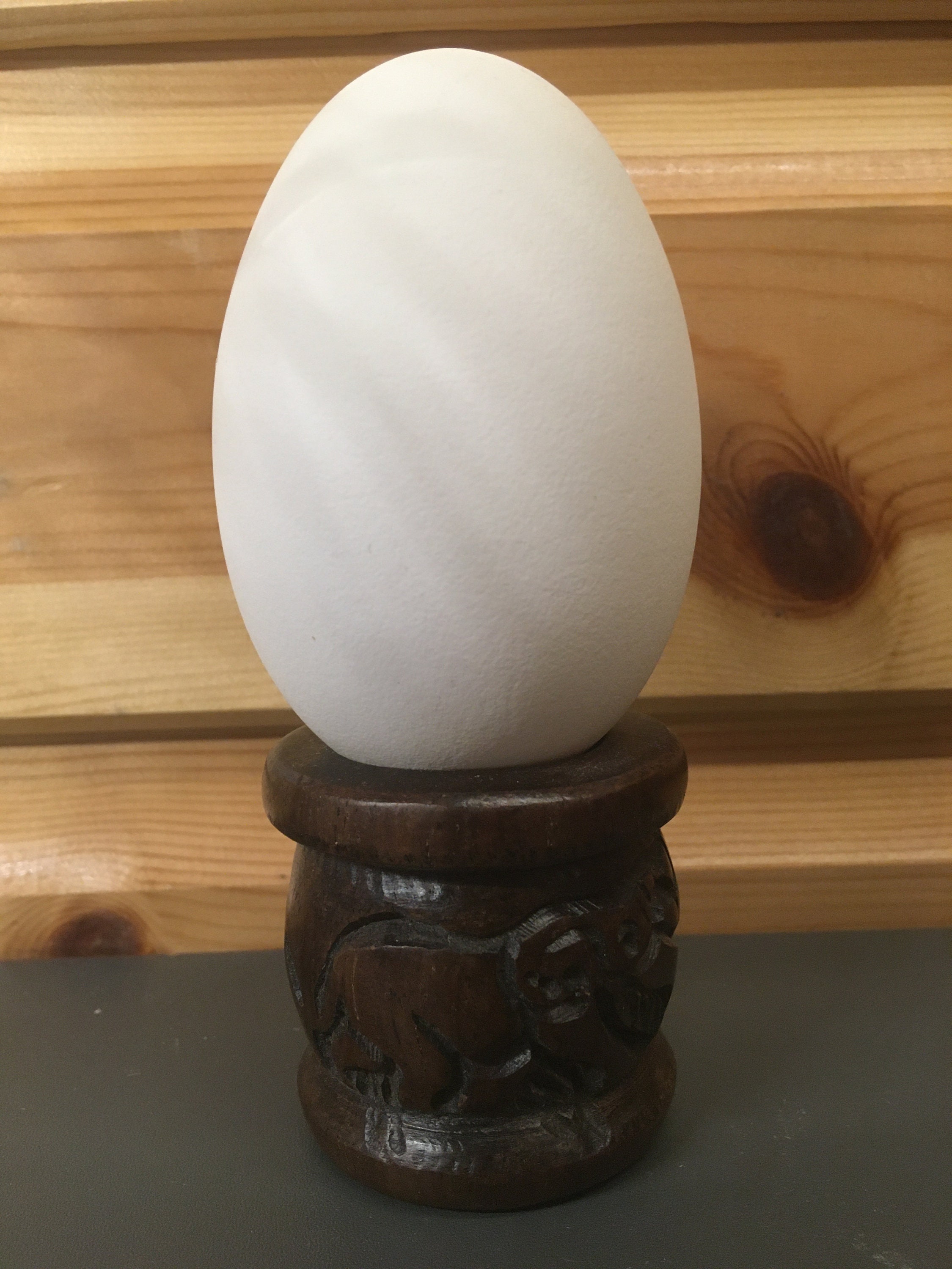 6 X Blown Goose Egg Geese Eggs Supplies to Use for Decoration Craft