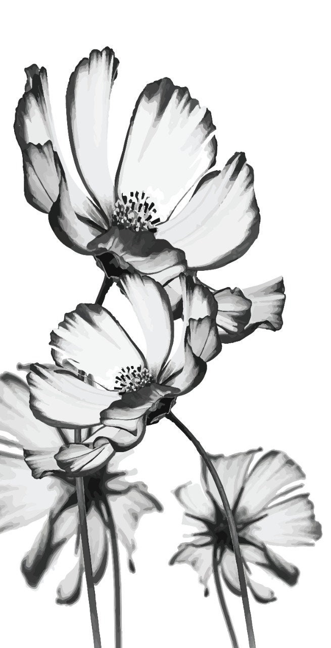 Black and White POPPY Wall Decal Floral Wall Decals Etsy